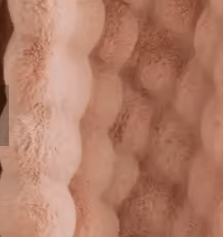 Ultra-Plush Faux Fur Throw - BF Beauty